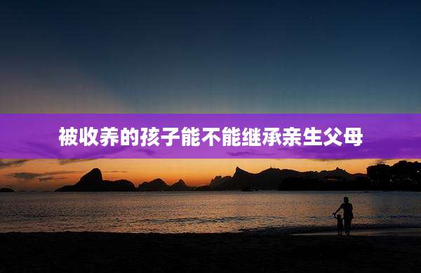被收养的孩子能不能继承亲生父母