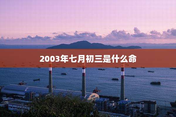 2003年七月初三是什么命