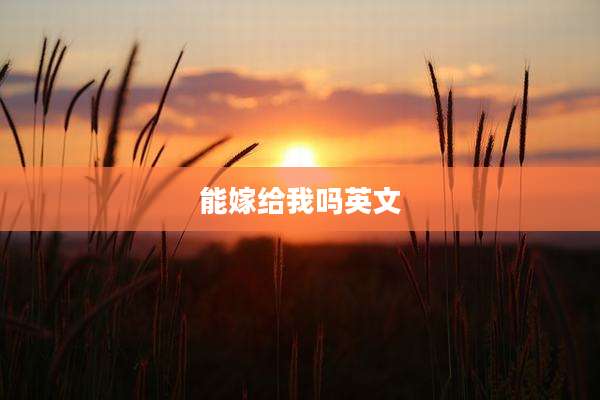 能嫁给我吗英文