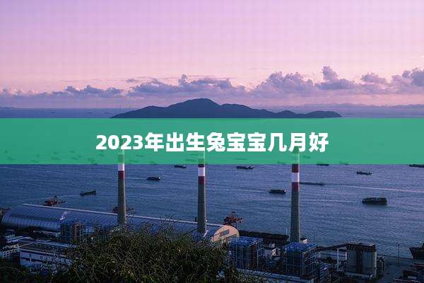 2023年出生兔宝宝几月好