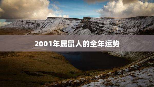 2001年属鼠人的全年运势