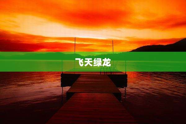 飞天绿龙
