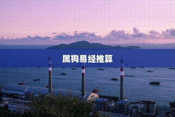 属狗易经推算