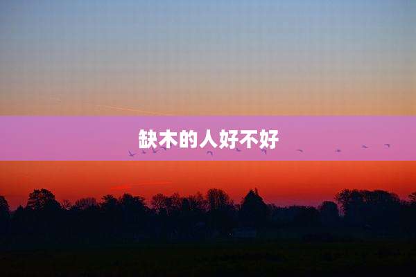 缺木的人好不好