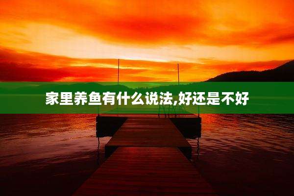 家里养鱼有什么说法,好还是不好