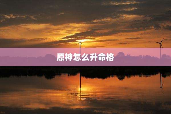原神怎么升命格
