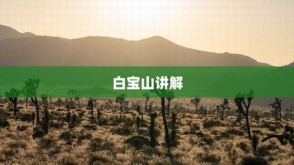 白宝山讲解