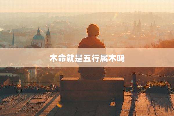 木命就是五行属木吗
