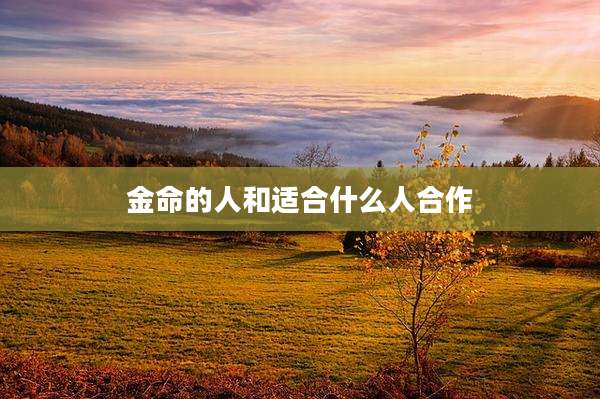 金命的人和适合什么人合作