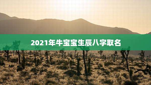 2021年牛宝宝生辰八字取名