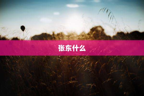 张东什么