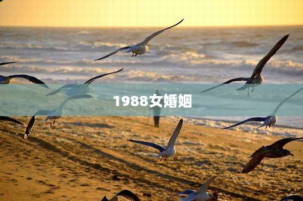 1988女婚姻