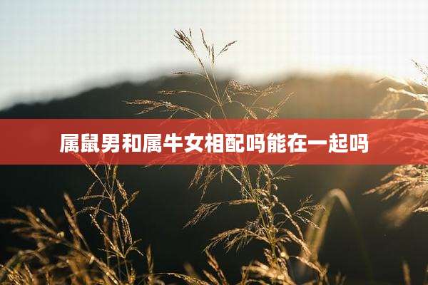属鼠男和属牛女相配吗能在一起吗