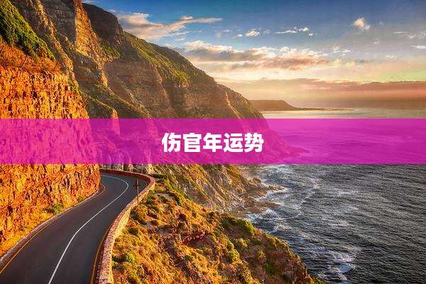 伤官年运势