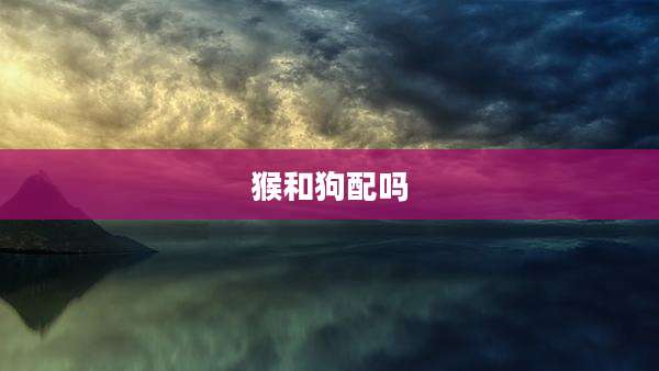 猴和狗配吗