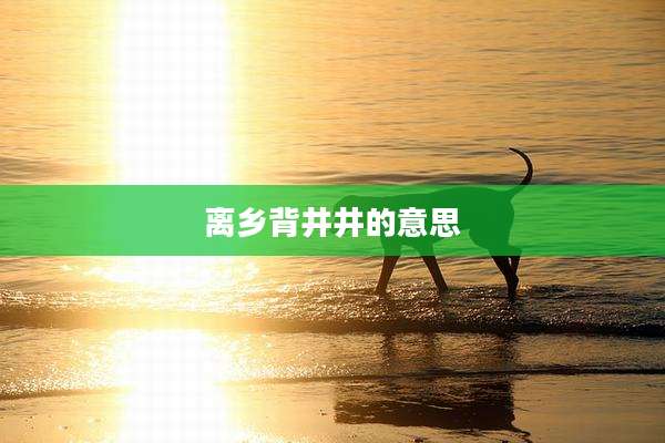 离乡背井井的意思