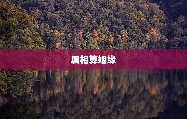 属相算姻缘