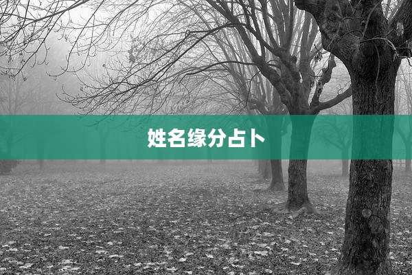 姓名缘分占卜