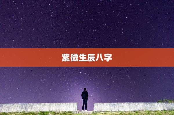 紫微生辰八字