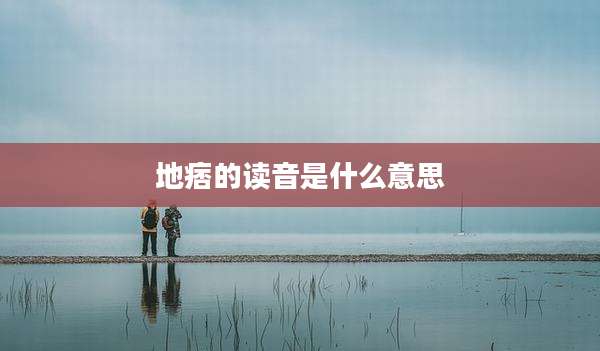 地痞的读音是什么意思