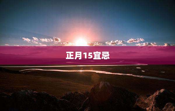 正月15宜忌