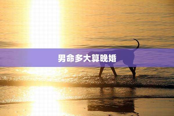 男命多大算晚婚