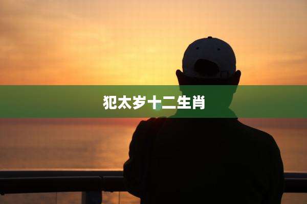 犯太岁十二生肖