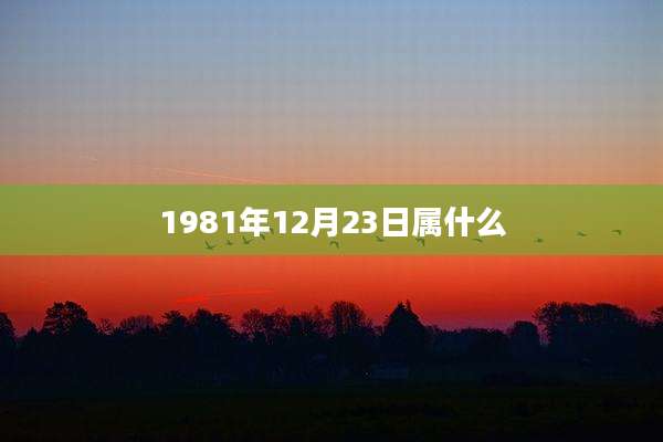 1981年12月23日属什么