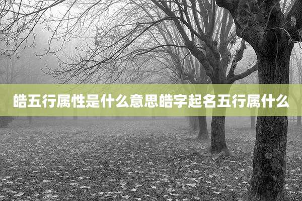 皓五行属性是什么意思皓字起名五行属什么