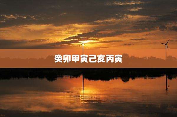 癸卯甲寅己亥丙寅