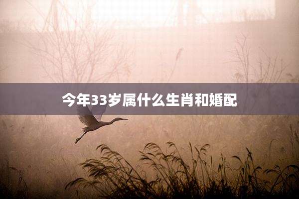今年33岁属什么生肖和婚配