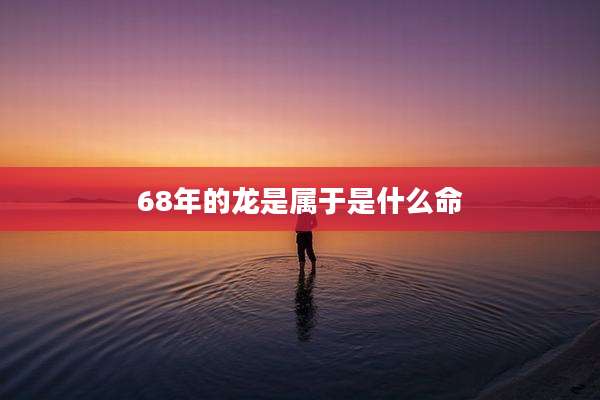 68年的龙是属于是什么命