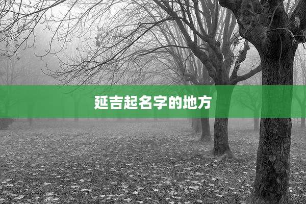 延吉起名字的地方