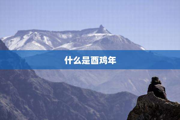 什么是酉鸡年