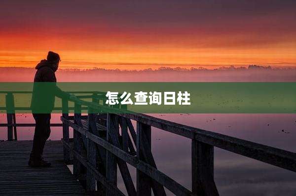 怎么查询日柱