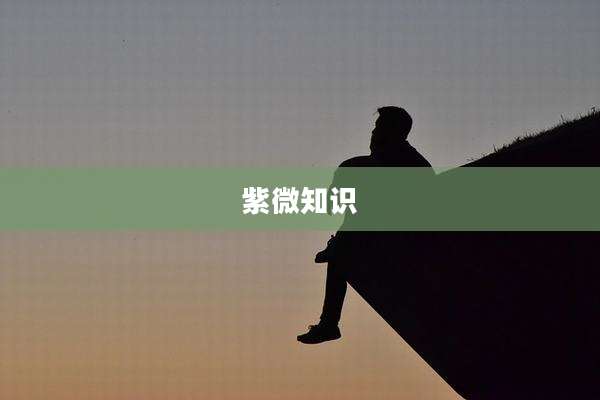 紫微知识
