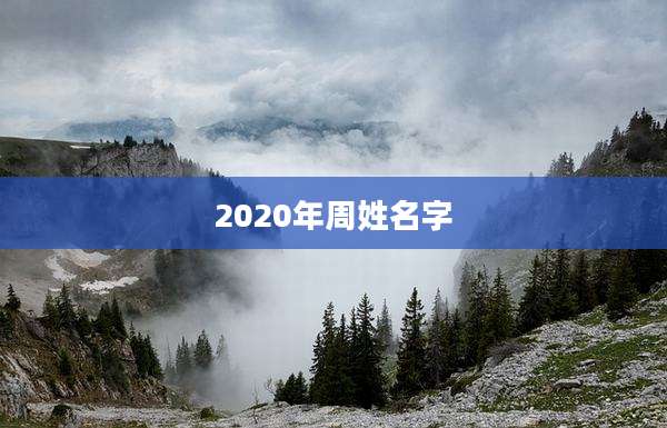 2020年周姓名字
