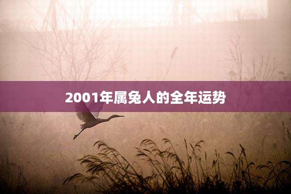 2001年属兔人的全年运势