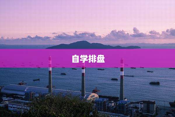 自学排盘