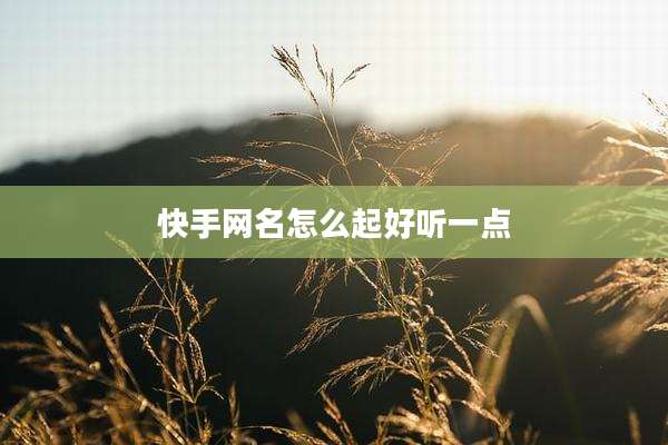 快手网名怎么起好听一点