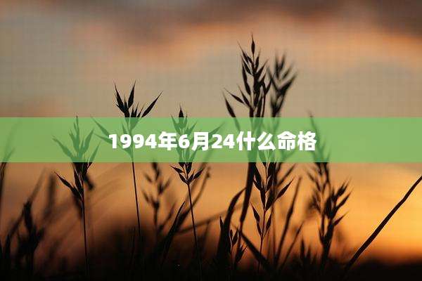 1994年6月24什么命格