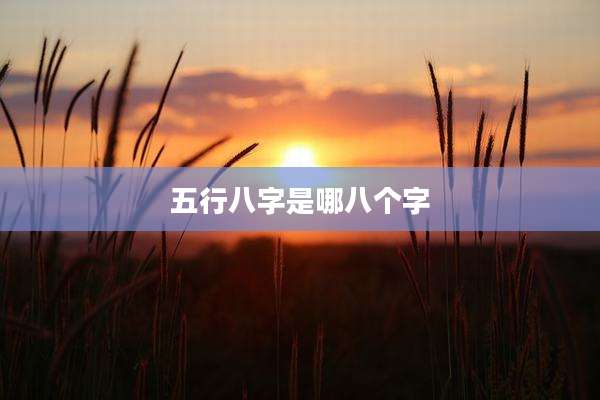 五行八字是哪八个字