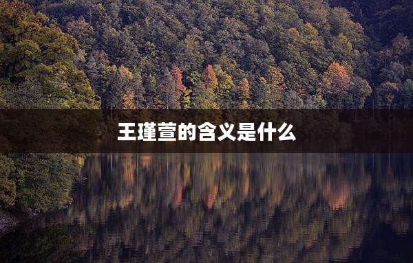 王瑾萱的含义是什么