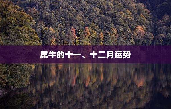 属牛的十一、十二月运势