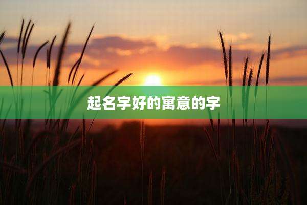 起名字好的寓意的字