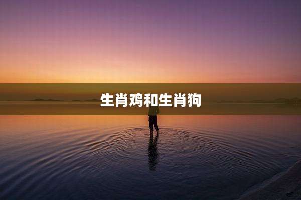 生肖鸡和生肖狗