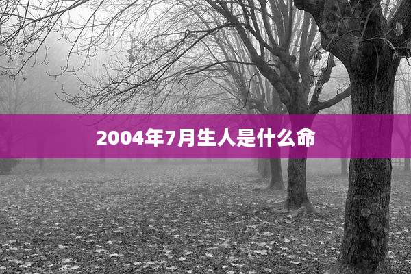 2004年7月生人是什么命