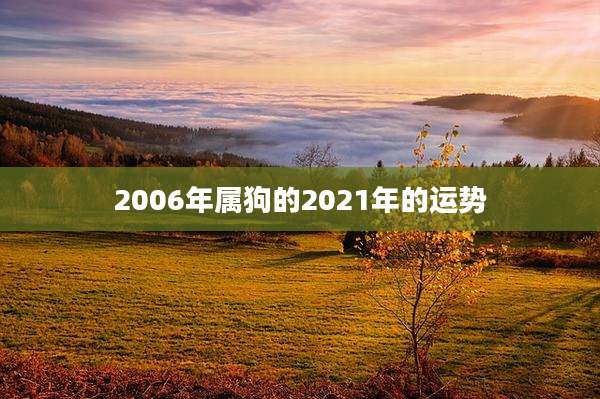 2006年属狗的2021年的运势
