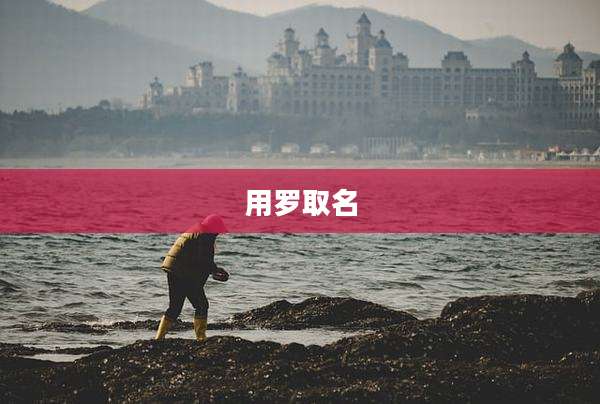 用罗取名