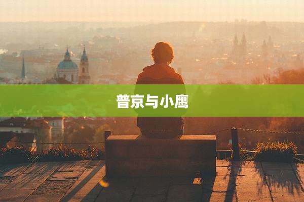 普京与小鹰